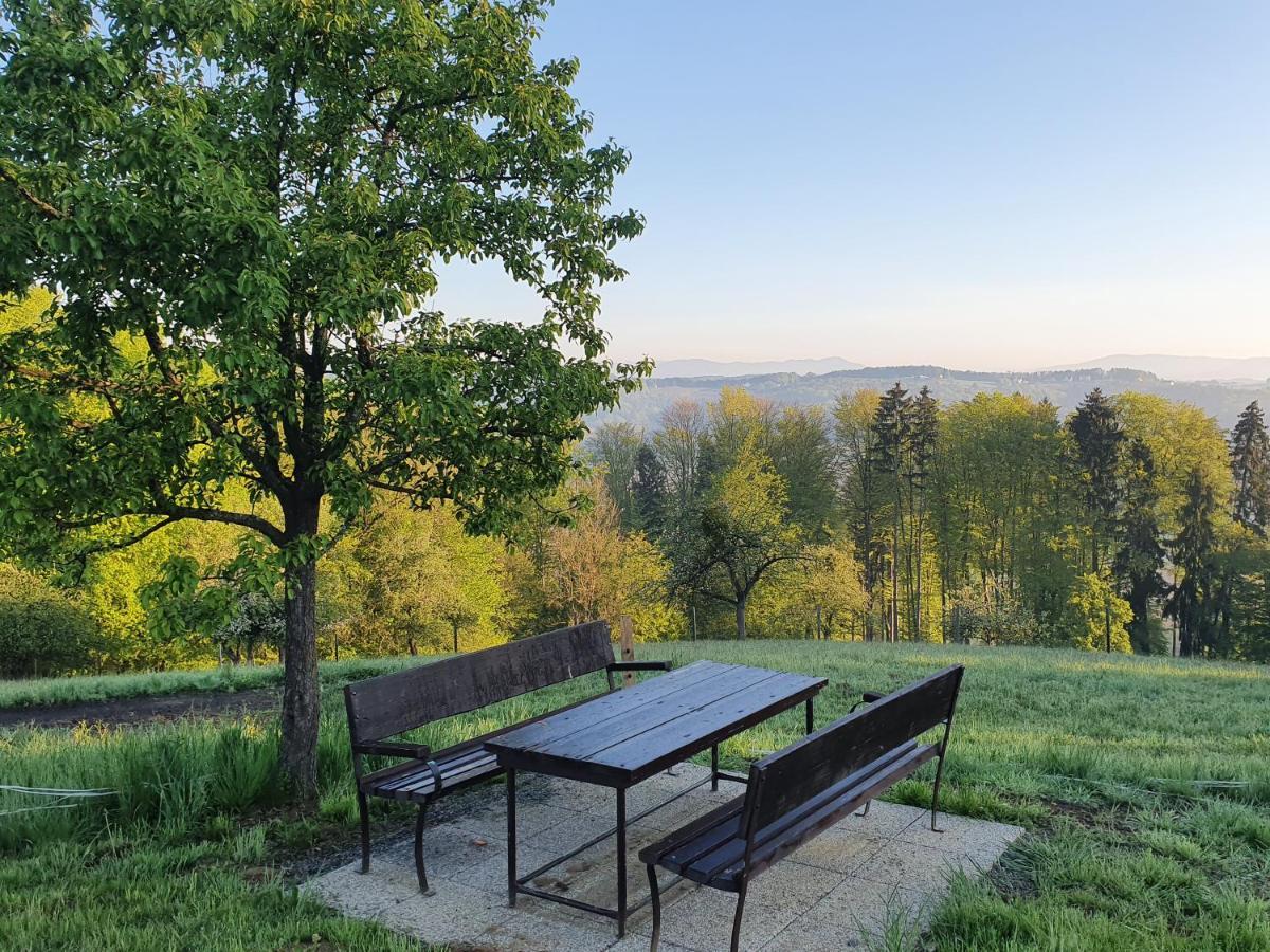 Apartmán Wohlfuehloase Am Trausdorfberg Mit Sauna/whirlpool *
