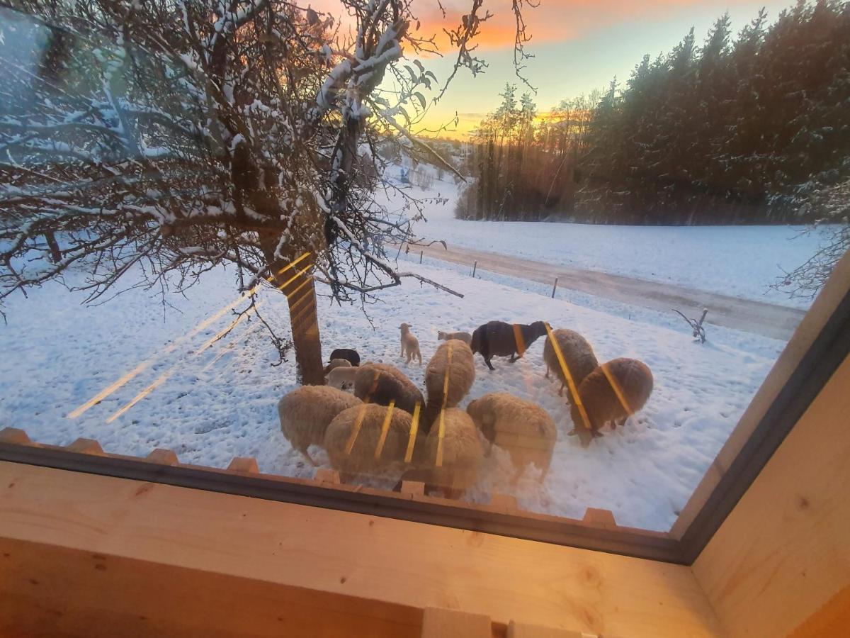 Wohlfuehloase Am Trausdorfberg Mit Sauna/whirlpool Apartmán Sankt Marein bei Graz