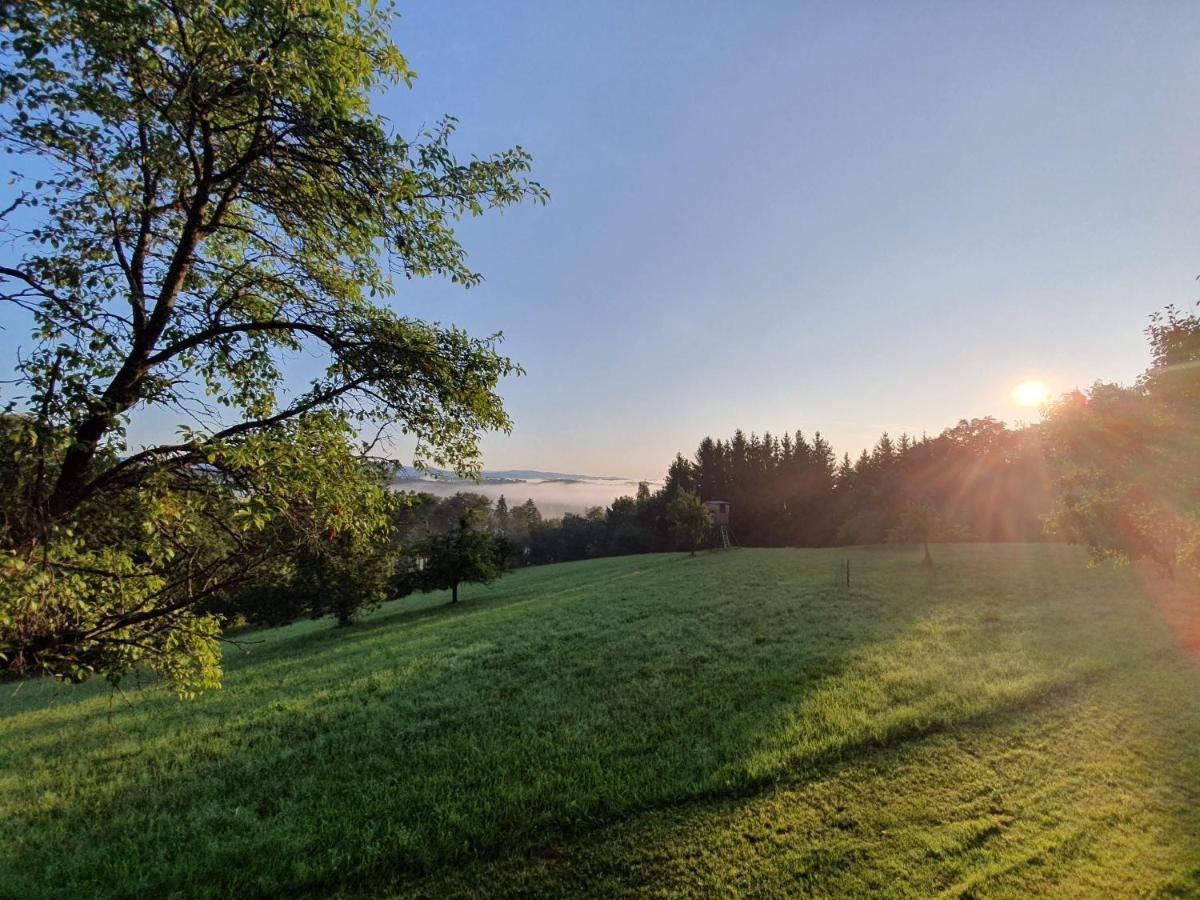 Wohlfuehloase Am Trausdorfberg Mit Sauna/whirlpool *