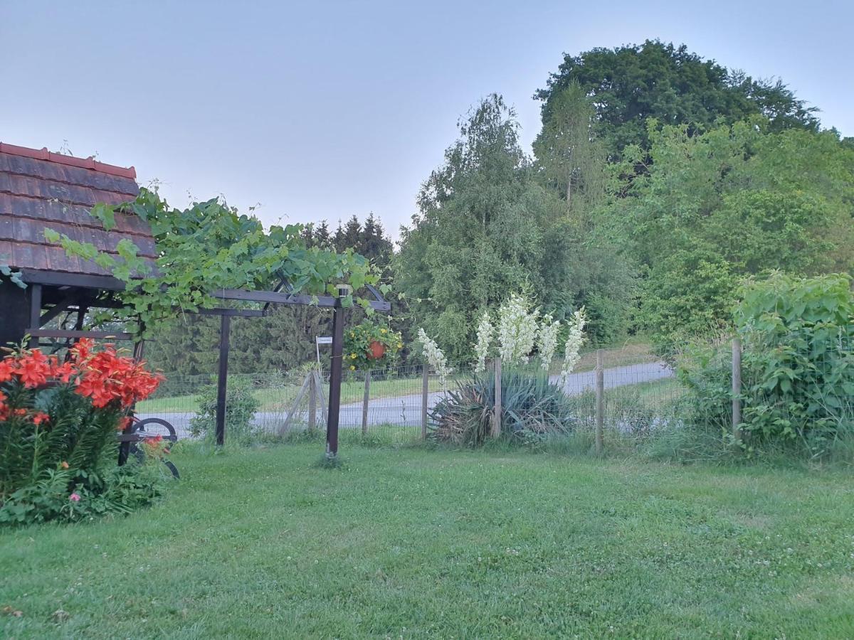 Wohlfuehloase Am Trausdorfberg Mit Sauna/whirlpool