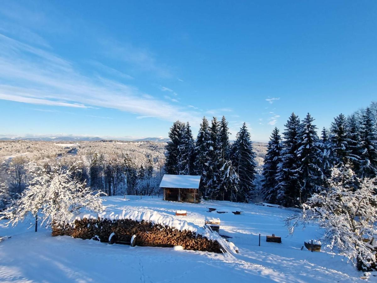 Wohlfuehloase Am Trausdorfberg Mit Sauna/whirlpool *