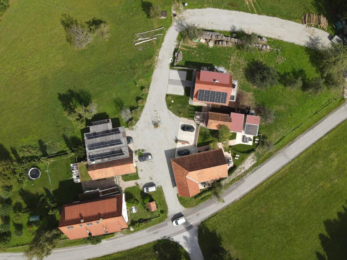 Apartment Wohlfuehloase Am Trausdorfberg Mit Sauna/whirlpool