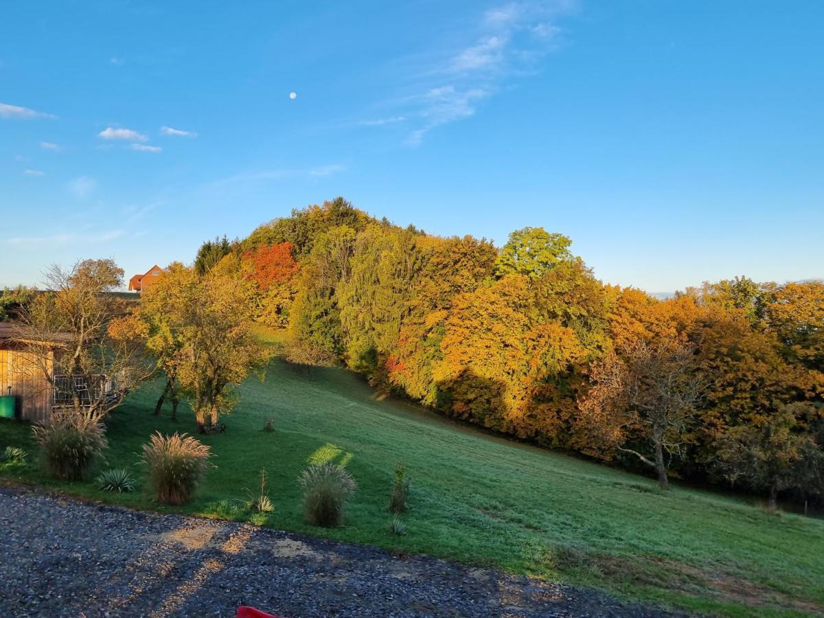 Wohlfuehloase Am Trausdorfberg Mit Sauna/whirlpool Apartment Sankt Marein bei Graz